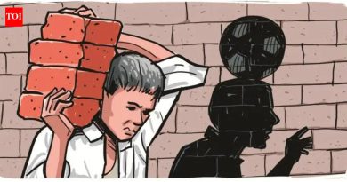 झेडपी शाळेच्या बांधकामाच्या ठिकाणी 12 वर्षांचा मुलगा काम करताना आढळला