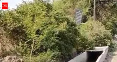 एनएचएआयच्या कामात पीएमसीच्या पत्राने गटारांच्या नुकसानीला झेंडा दाखवला; पाषाण तलावाच्या प्रदूषणाशी गळती जोडण्यासाठी कार्यकर्त्यांनी नकाशाचा हवाला दिला