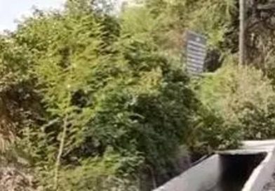 एनएचएआयच्या कामात पीएमसीच्या पत्राने गटारांच्या नुकसानीला झेंडा दाखवला; पाषाण तलावाच्या प्रदूषणाशी गळती जोडण्यासाठी कार्यकर्त्यांनी नकाशाचा हवाला दिला