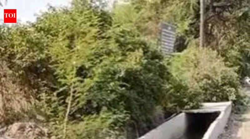 एनएचएआयच्या कामात पीएमसीच्या पत्राने गटारांच्या नुकसानीला झेंडा दाखवला; पाषाण तलावाच्या प्रदूषणाशी गळती जोडण्यासाठी कार्यकर्त्यांनी नकाशाचा हवाला दिला