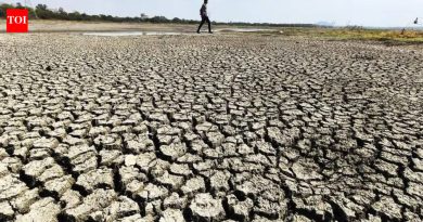 लातूरच्या शेतकऱ्याचा कोसळून मृत्यू, या उन्हाळ्यात राज्यातील आतापर्यंतचा चौथा संशयित उष्माघात
