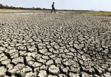 लातूरच्या शेतकऱ्याचा कोसळून मृत्यू, या उन्हाळ्यात राज्यातील आतापर्यंतचा चौथा संशयित उष्माघात