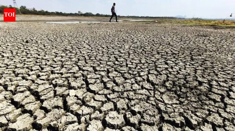 लातूरच्या शेतकऱ्याचा कोसळून मृत्यू, या उन्हाळ्यात राज्यातील आतापर्यंतचा चौथा संशयित उष्माघात