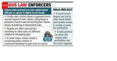 बदमाशांनी नाशिक पोलिस म्हणून दाखवली 43 लाखांची फसवणूक, ‘मनी लाँडरिंग प्रकरणात’ अटकेची धमकी
