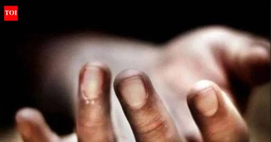 जळगाव, नाशिकमध्ये 39.6 अंश सेल्सिअस तापमानात कडक उन्हामुळे कामगारांचा जीव गेला