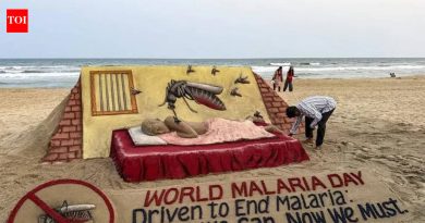 मलेरिया संपवण्यासाठी भारत अजूनही का धडपडत आहे?