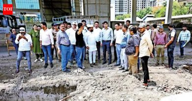 पावसाळ्यापूर्वी, पीएमआरडीए आयुक्तांचे हिंजवडी आयटी पट्ट्यातील गाळ काढण्याचे, रस्ते दुरुस्तीचे आवाहन