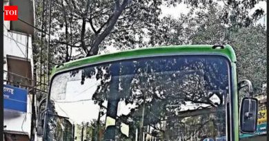 बस थांबवणाऱ्या ३ पैकी दोन पोलिसांनी ब्रेक पेडल दाबण्यासाठी हात वापरले