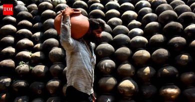 महाराष्ट्राच्या काही भागांमध्ये, 46-47° सेल्सिअस उष्णतेमुळे भाजीपाला पिकांचे नुकसान होते; शेतकऱ्यांना उत्पादन नुकसान, भाव वाढण्याची भीती