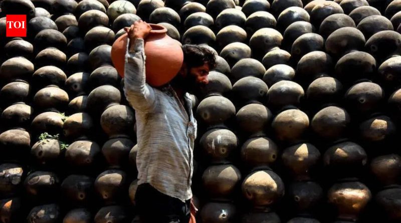 महाराष्ट्राच्या काही भागांमध्ये, 46-47° सेल्सिअस उष्णतेमुळे भाजीपाला पिकांचे नुकसान होते; शेतकऱ्यांना उत्पादन नुकसान, भाव वाढण्याची भीती