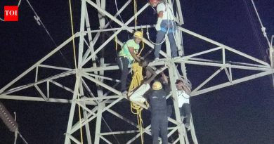 निगडीतील १३२ केव्ही हाय टेंशन ट्रान्समिशन टॉवरवर चढल्याने वाहतूक कोंडी, वीजवाहिनी बंद; 3 तासांनंतर सुटका