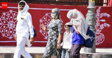 महाराष्ट्रात 1 मार्चपासून वाढत्या तापमानामुळे उष्माघाताच्या 95 रुग्णांची नोंद झाली आहे