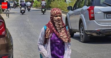 पुणे जिल्हा प्रशासनाने उष्णतेच्या लाटेचा सल्ला जारी केला आहे, कंपन्यांना कामगारांसाठी पंखे आणि विश्रांतीची जागा देण्याचे निर्देश दिले आहेत