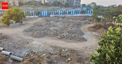 PMC मध्ये विलीन झाल्यानंतर 9 वर्षांनी उंडरीला पहिले सार्वजनिक उद्यान मिळणार आहे