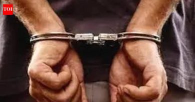 नसरापूर बलात्कार व खून आरोपींची न्यायालयीन कोठडीत रवानगी
