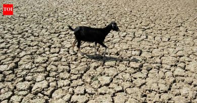 खरीप हंगामात एल निनोचा धोका वाढल्याने 181 महा ब्लॉक्स कृषी तणावासाठी अत्यंत असुरक्षित आहेत