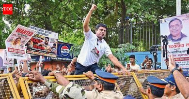 पोर्टल त्रुटी, निष्क्रिय हेल्पलाइन्स पुनर्मूल्यांकनाच्या शेवटच्या दिवशी सीबीएसईच्या विद्यार्थ्यांना फॉक्स करतात | पुणे बातम्या