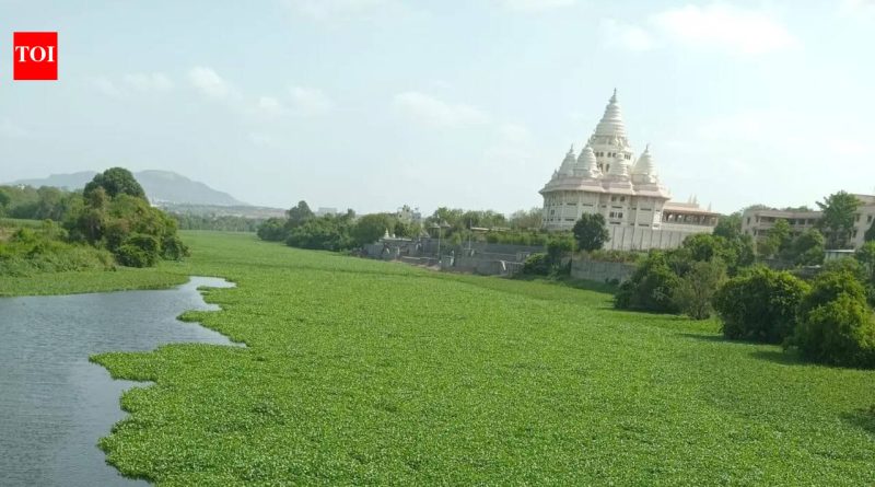 आषाढी वारीपूर्वी देहूजवळील इंद्रायणी नदीत मृत मासे आढळल्याने प्रदूषणाची चिंता वाढली आहे.