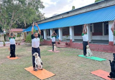 एनडीए कॅडेट्स, लष्करी कर्मचारी आणि त्यांचे कुटुंबीय आणि लष्कराचे कुत्रे पुण्यात आंतरराष्ट्रीय योग दिन साजरा करतात