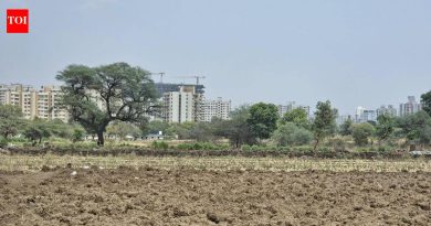 भूमी अभिलेखातील अनियमिततेत गुंतलेल्या महसूल अधिकाऱ्यांवर महासरकार कारवाई करणार : मंत्री बावनकुळे