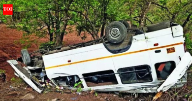 पाबे घाटात मिनीबस 40 फूट दरीत कोसळल्याने 2 मुंबई ट्रेकर्सचा मृत्यू, 18 जखमी
