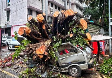 50 हून अधिक झाडे पडण्याची प्रकरणे अग्निशमन दलाच्या कर्मचाऱ्यांना त्यांच्या अंगठ्यावर ठेवतात