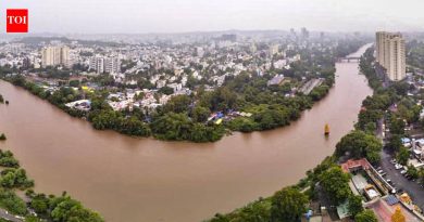 पुणे जिल्ह्यातील मुसळधार पावसामुळे चार दिवसांच्या सततच्या आवकनंतर उजनीचा जिवंत साठा ८ टीएमसीवर पोहोचला आहे.