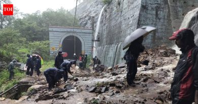 भूस्खलनग्रस्त लोणावळा-कर्जत घाट विभागाच्या पुनर्संचयित कामास परवानगी देण्यासाठी 3 पुणे-मुंबई इंटरसिटी सेवेसह 14 गाड्या 17 जुलैपर्यंत रद्द करण्यात आल्या आहेत.